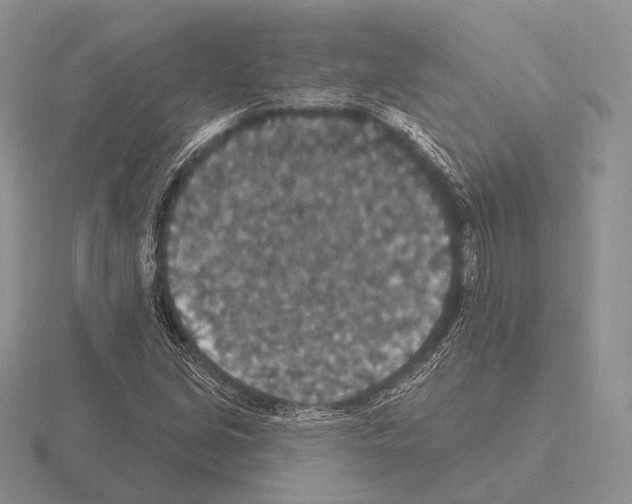 X0000115401213200912151514