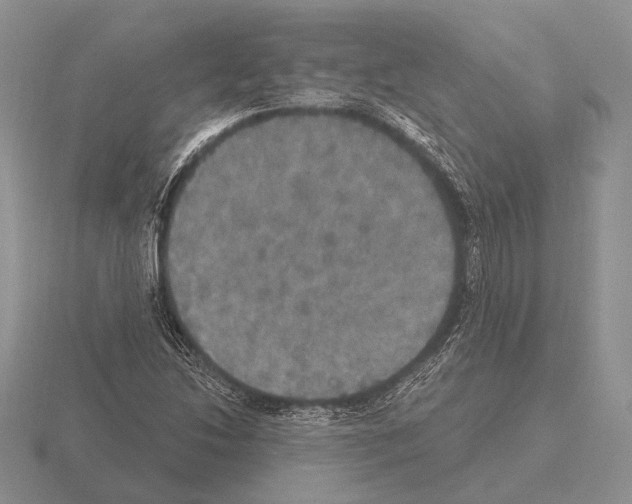 X0000115401214200912151514