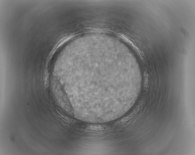 X0000115401215200912151514