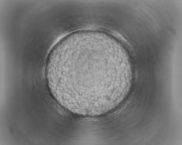 X0000115401216200912151514