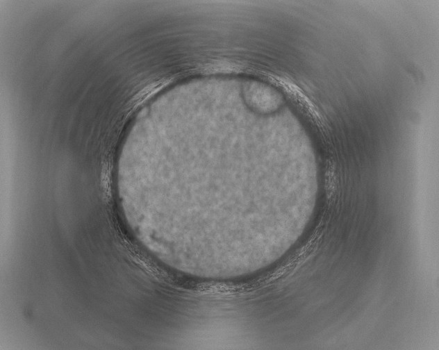 X0000115401217200912151514