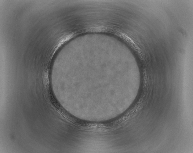 X0000115401218200912151514