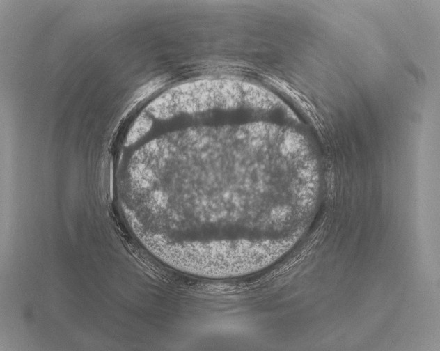 X0000115401219200912151514