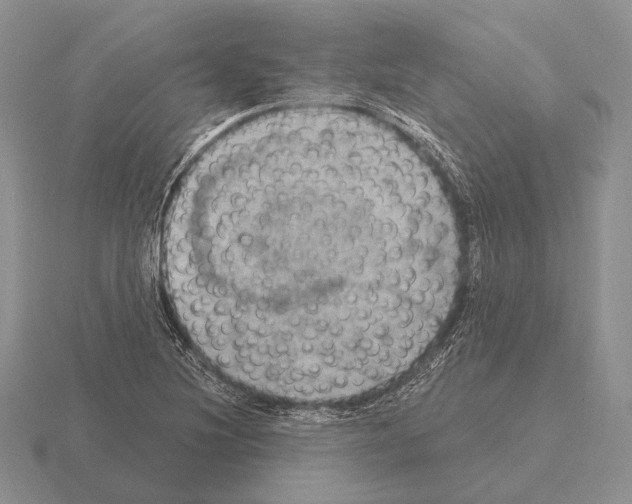 X0000115401220200912151514