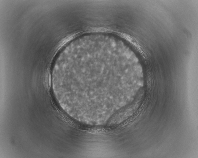 X0000115401221200912151514