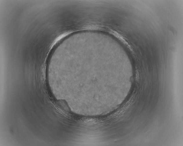 X0000115401222200912151514