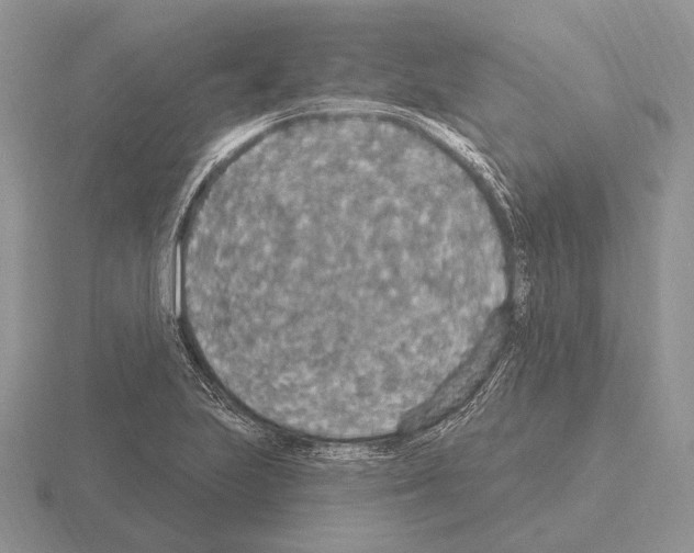 X0000115401223200912151514