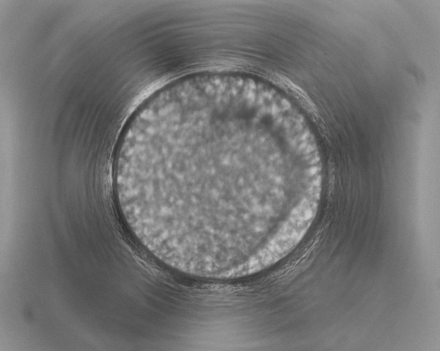 X0000115401226200912151514