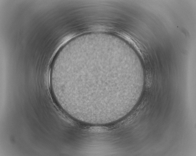 X0000115401227200912151514