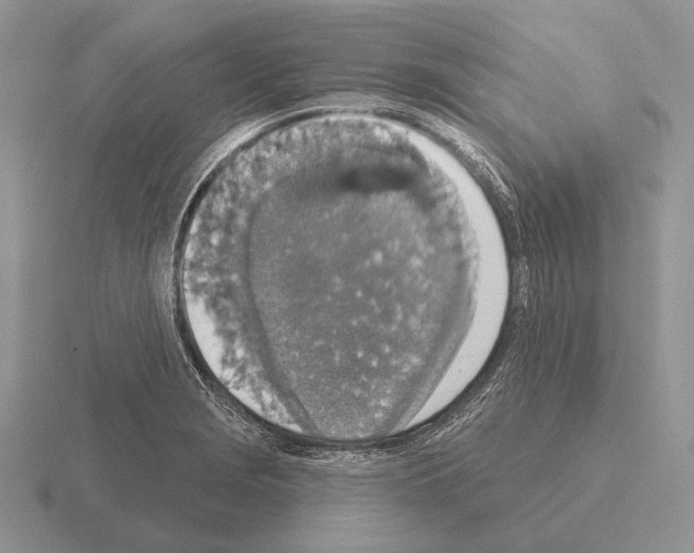 X0000115401229200912151514