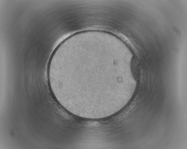 X0000115401230200912151514