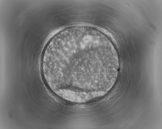 X0000115401231200912151514