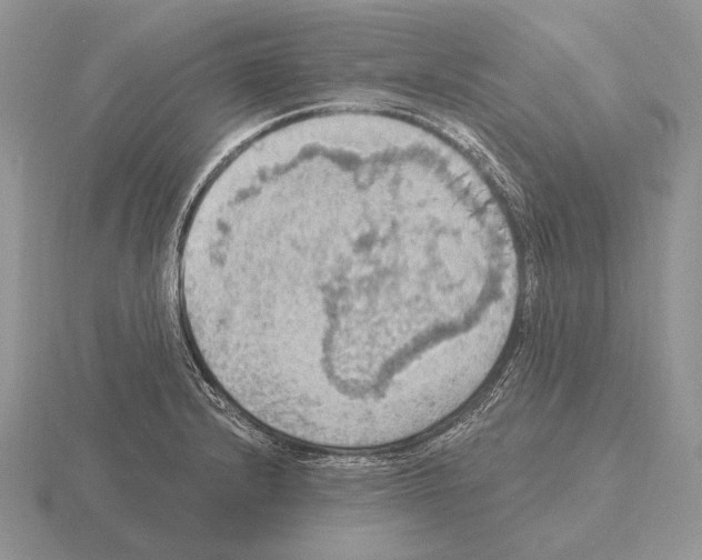 X0000115401232200912151514