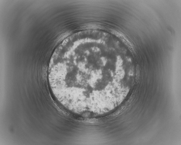 X0000115401233200912151514