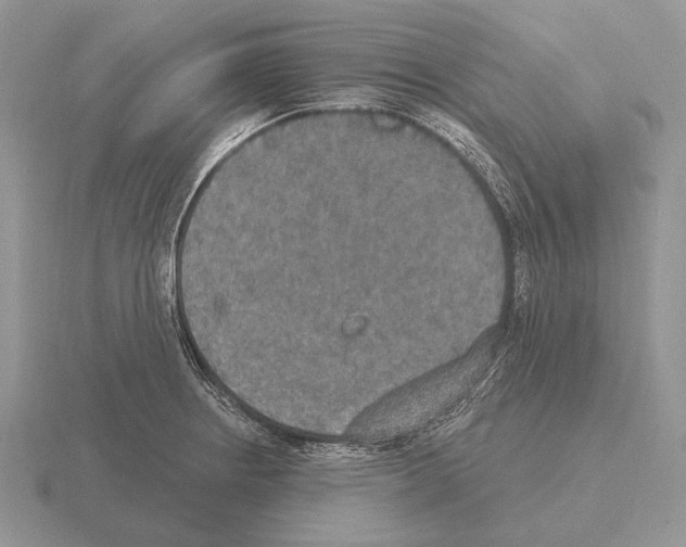 X0000115401234200912151514