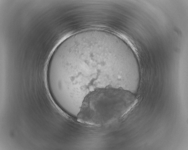 X0000115401235200912151514