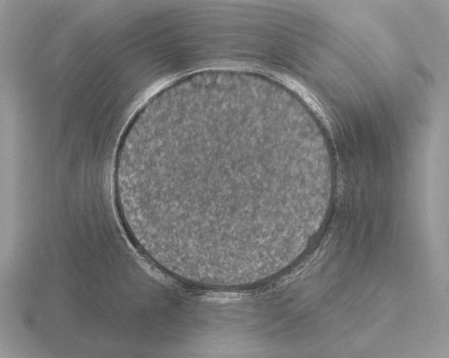 X0000115401237200912151514