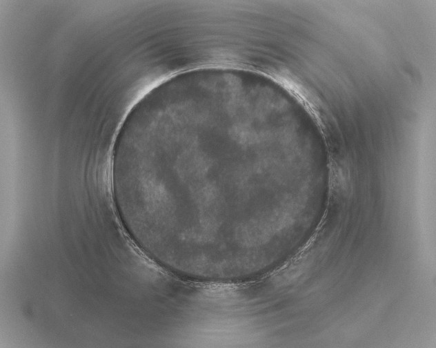 X0000115401238200912151514