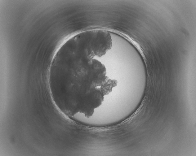 X0000115401239200912151514