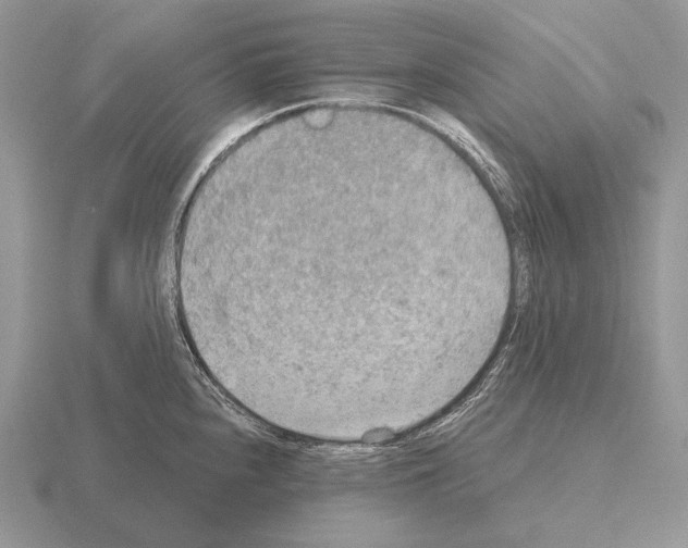 X0000115401240200912151514