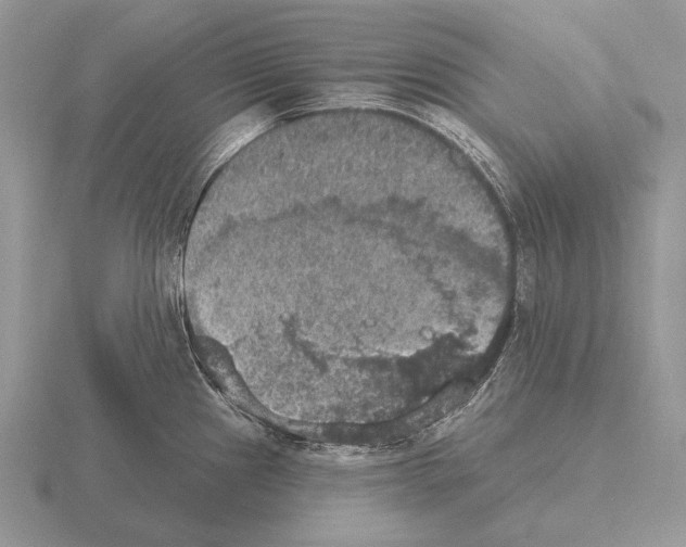 X0000115401241200912151514