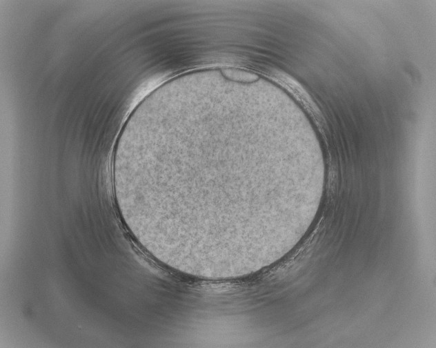 X0000115401242200912151514