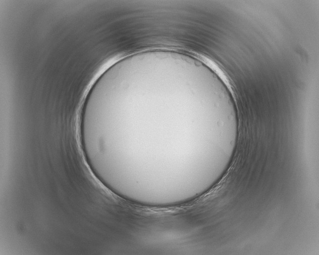 X0000115401243200912151514