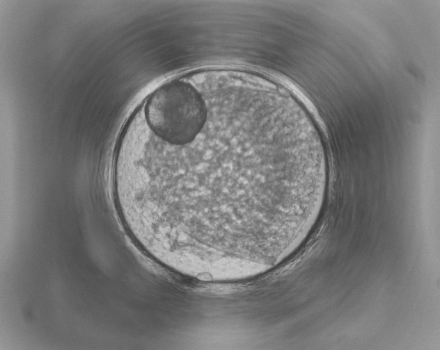 X0000115401245200912151514