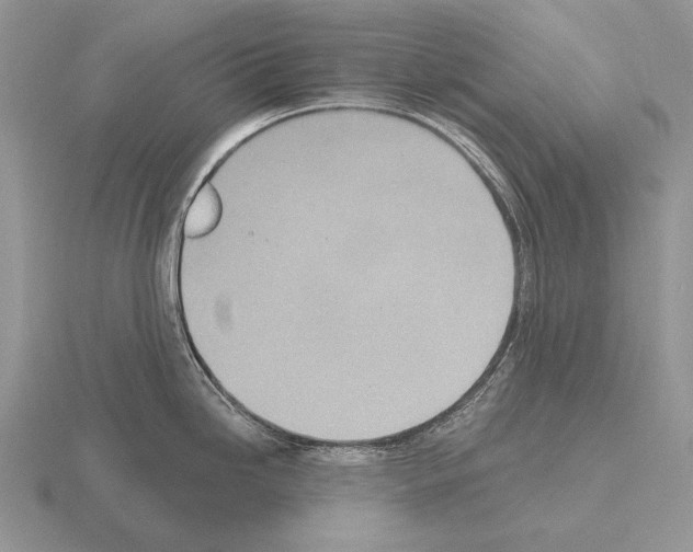 X0000115401246200912151514