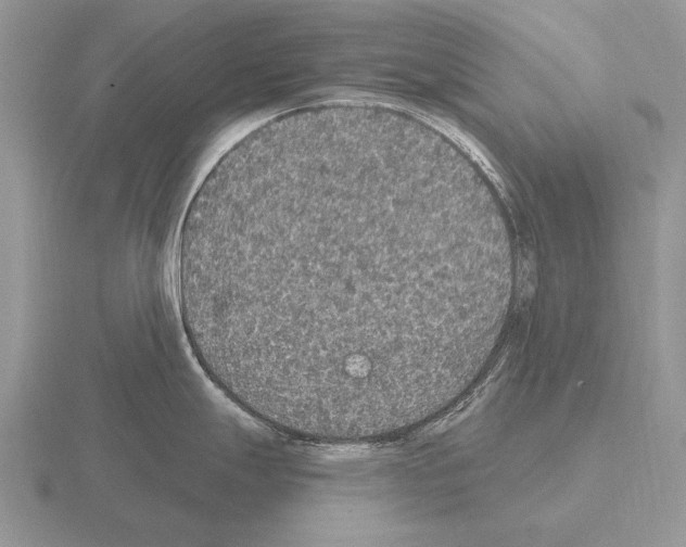 X0000115401247200912151514