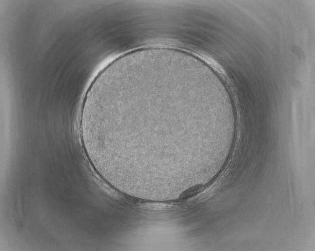 X0000115401248200912151514