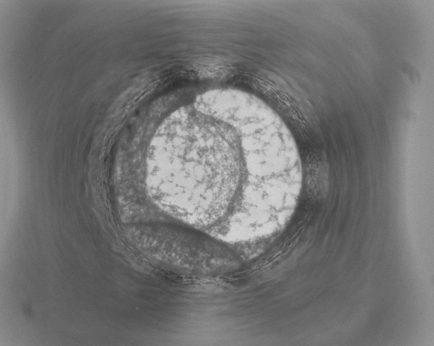 X0000115401249200912151513