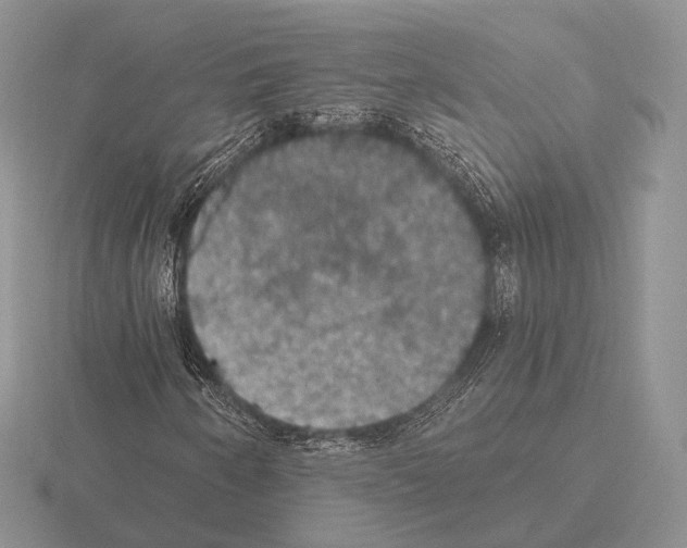 X0000115401250200912151513