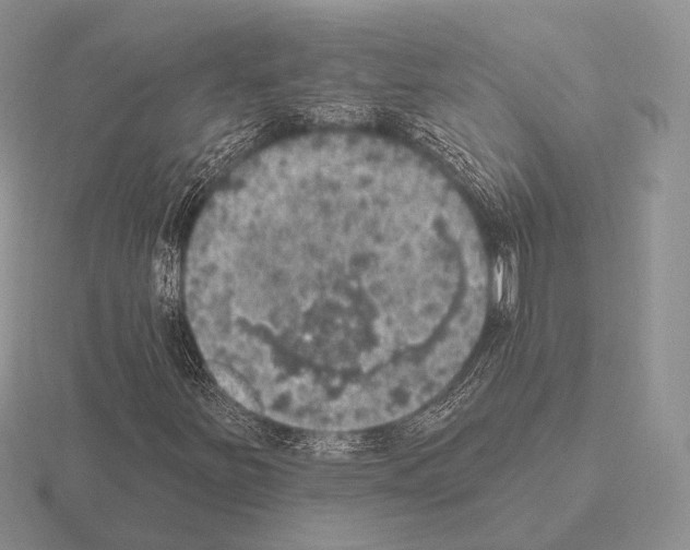 X0000115401251200912151513