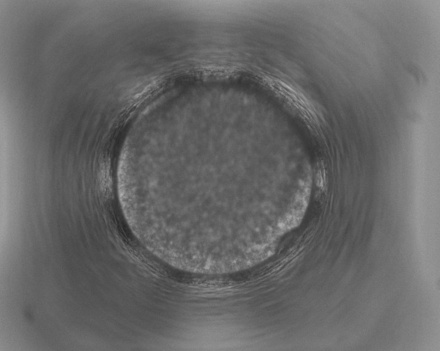 X0000115401252200912151513