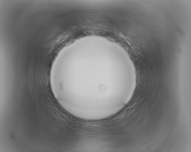 X0000115401253200912151513