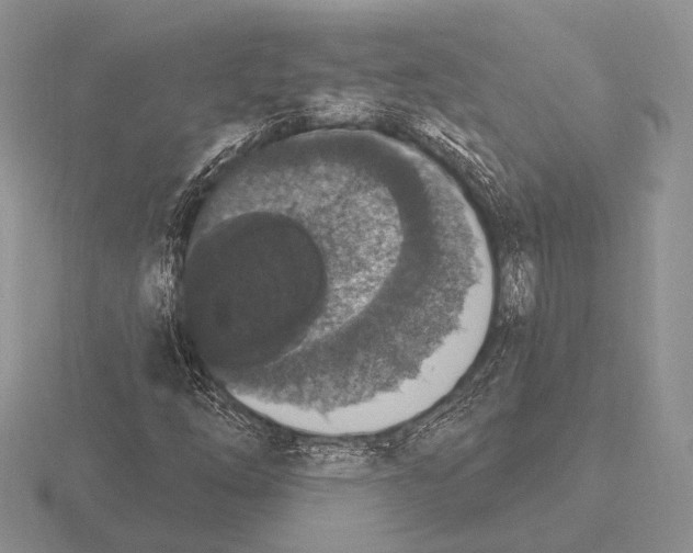 X0000115401254200912151513