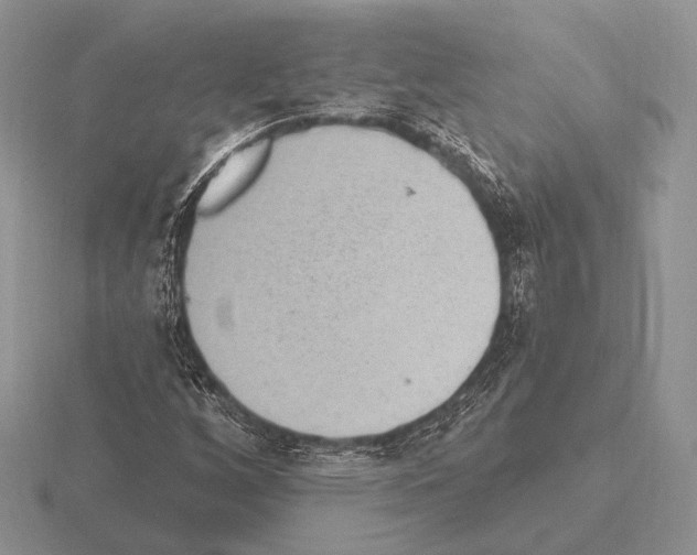 X0000115401256200912151513