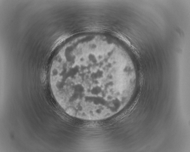 X0000115401259200912151513