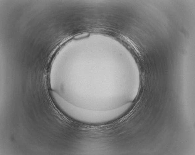 X0000115401260200912151513