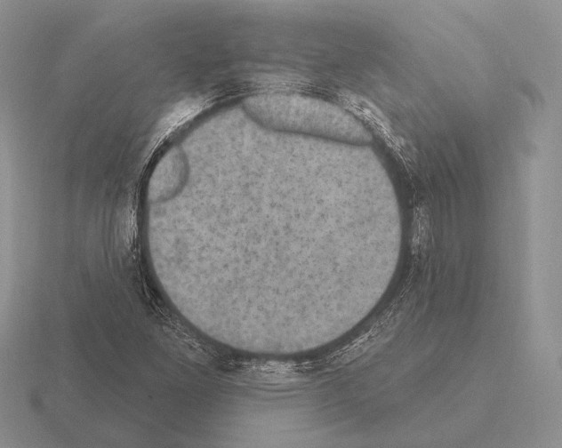 X0000115401261200912151513