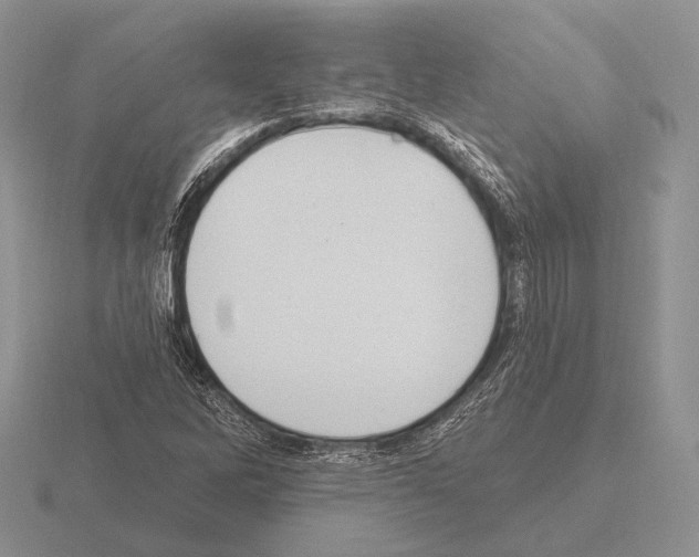 X0000115401262200912151513