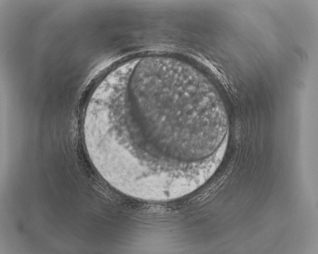 X0000115401263200912151513