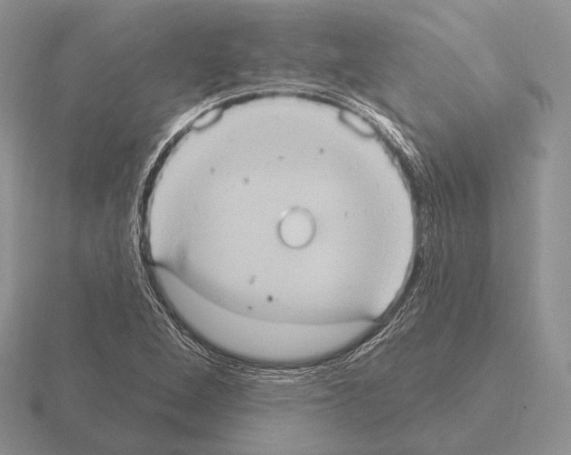 X0000115401264200912151513