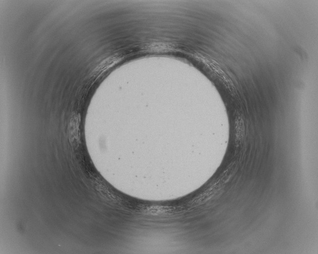 X0000115401265200912151513