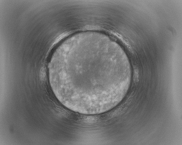 X0000115401266200912151513