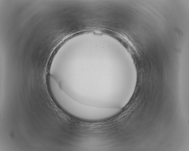 X0000115401268200912151513