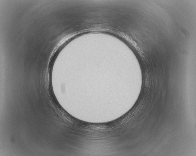 X0000115401270200912151513