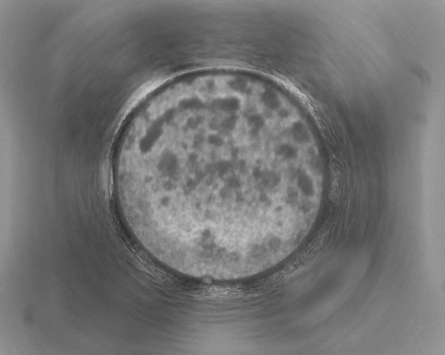 X0000115401271200912151513