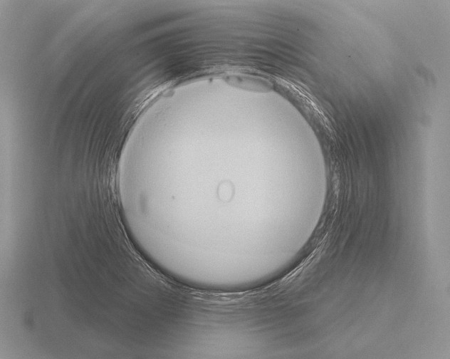 X0000115401273200912151513